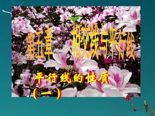 七年级数学下册-平行线的性质(一)-课件-人教新课标版