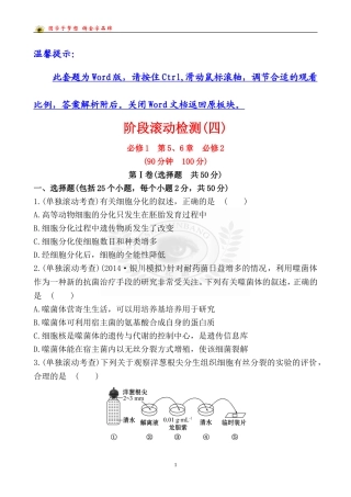 阶段滚动检测(四)