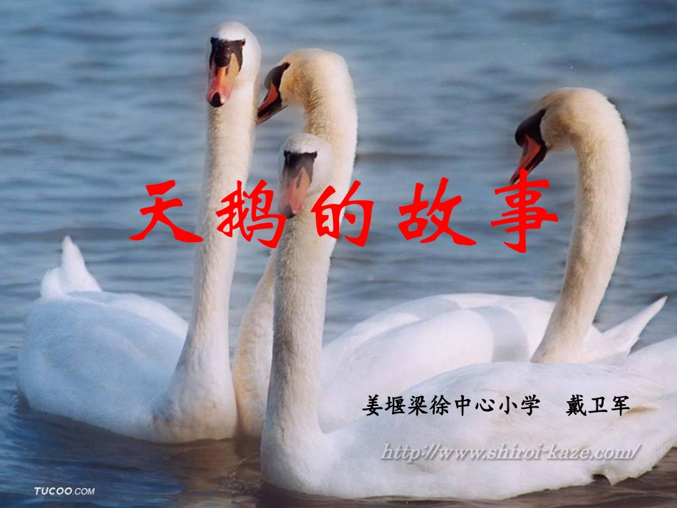 天鹅的故事1_第2页