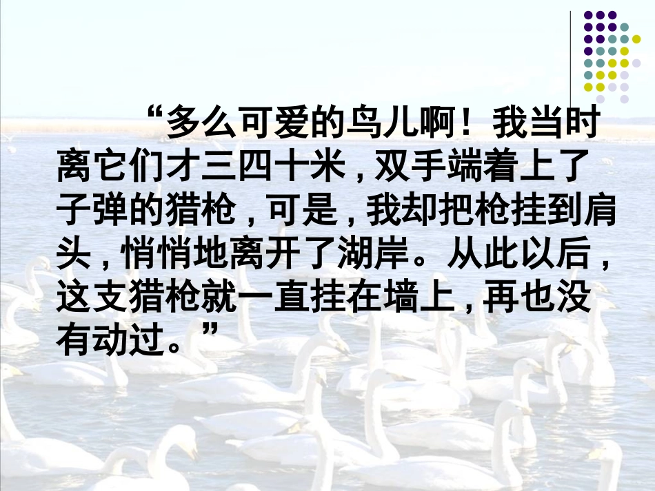 天鹅的故事1_第3页