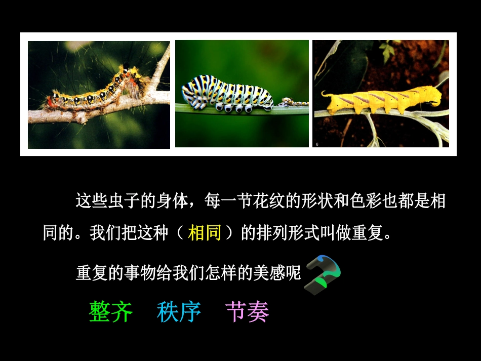 毛毛虫的身体特点_第3页