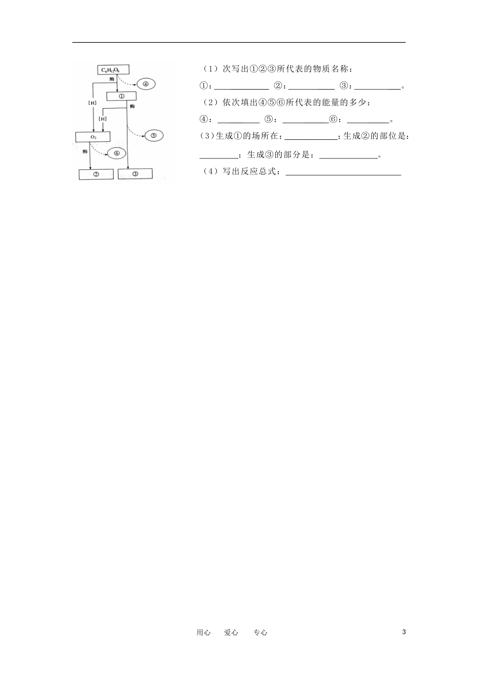 2012高一生物-3.4细胞呼吸32每课一练-浙科版必修1_第3页