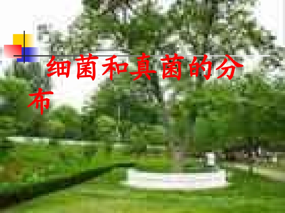 细菌和真菌的分布1_第1页