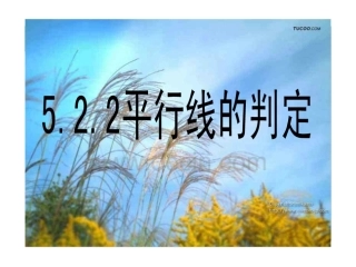 平行线的判定一