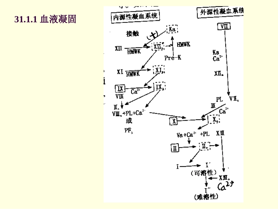 作用于血液及造血系统药_第2页