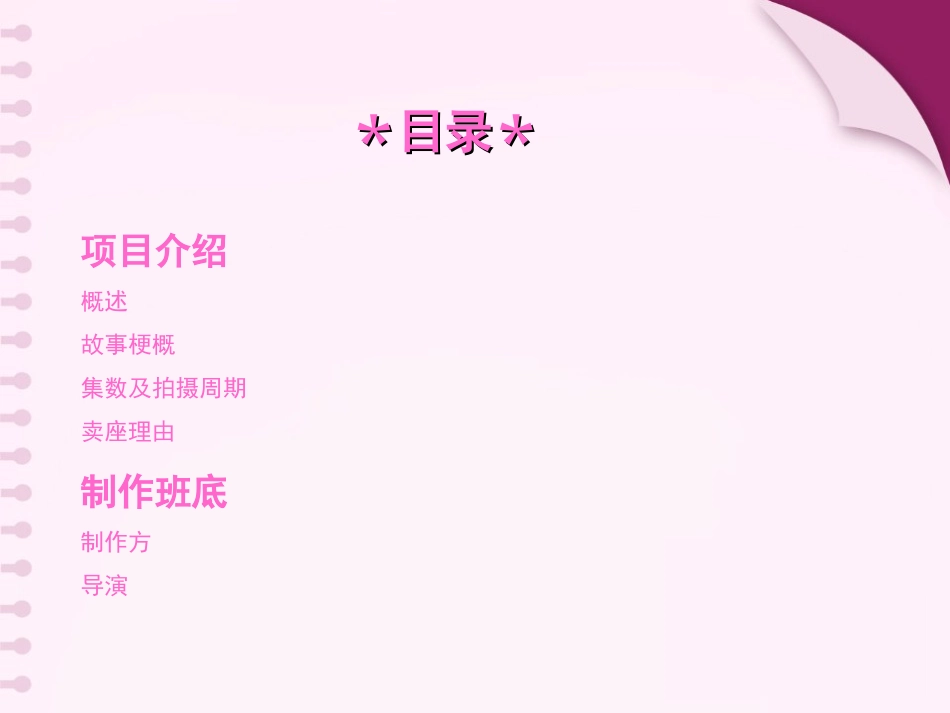 《我的灿烂人生》电视剧招商方案_第2页