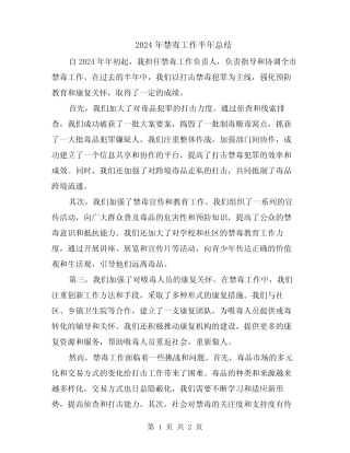 2024年禁毒工作半年总结