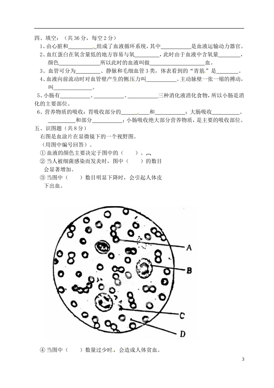 安徽省宣城四中2012-2013学年七年级生物下学期第一次月考试题-新人教版_第3页
