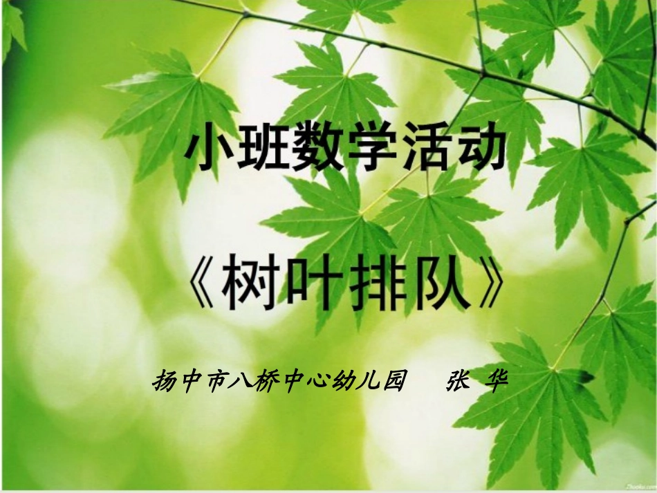 小班数学：树叶排队_第1页