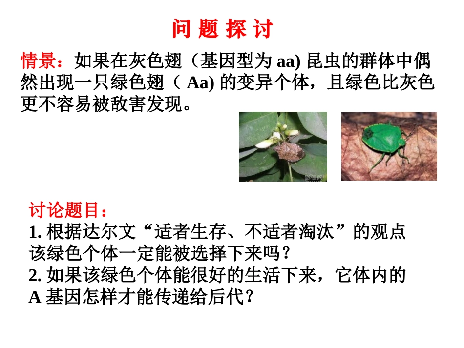 生物进化理论发展的意义_第3页