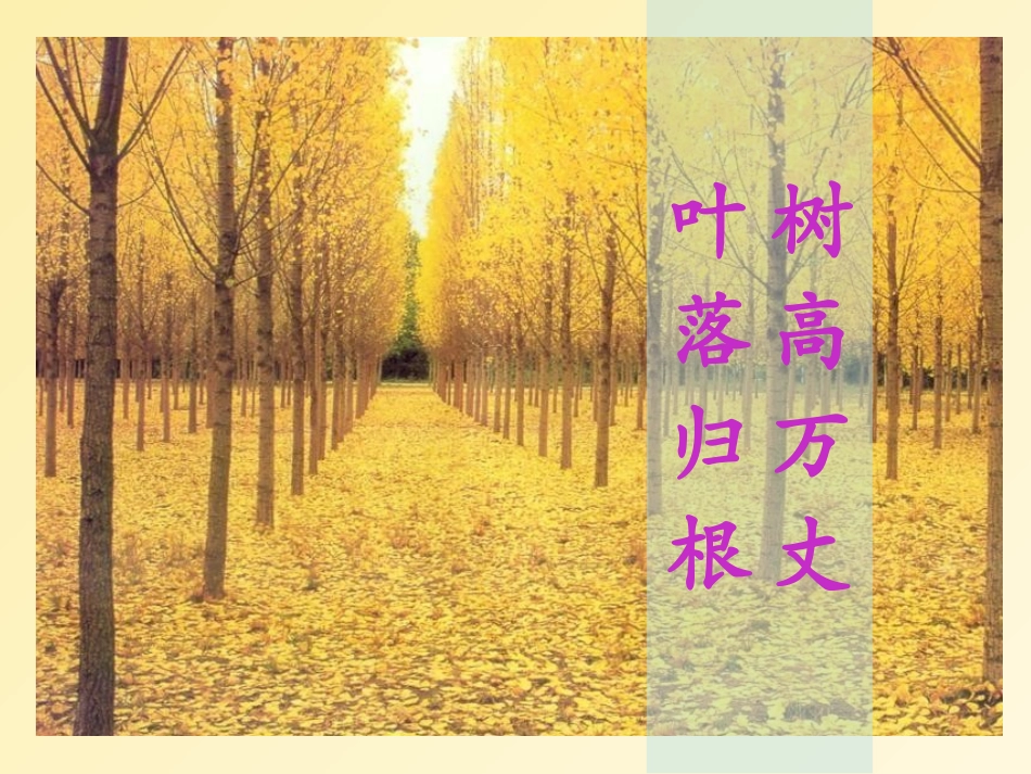 《乡愁》课件1_第2页