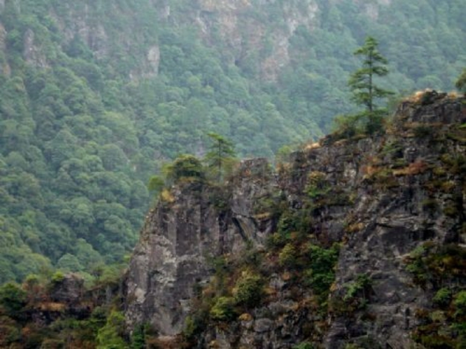 (语文A版)四年级语文上册课件-井冈山-1_第3页