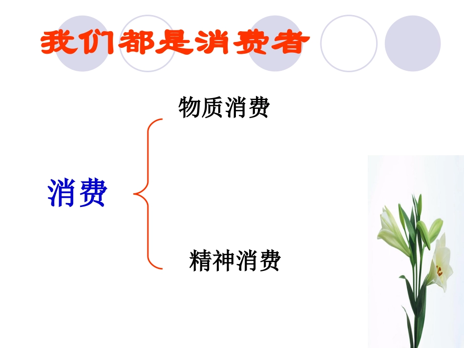 八年级下册第16课第一框消费者的合法权益受法律保护_第3页