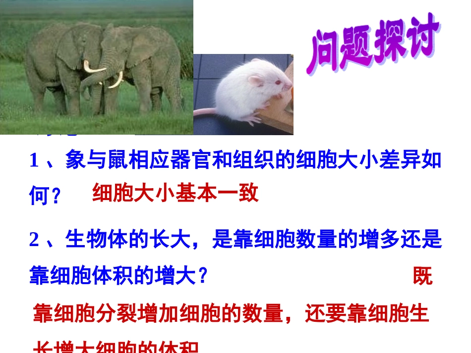 6.1细胞增殖_第2页