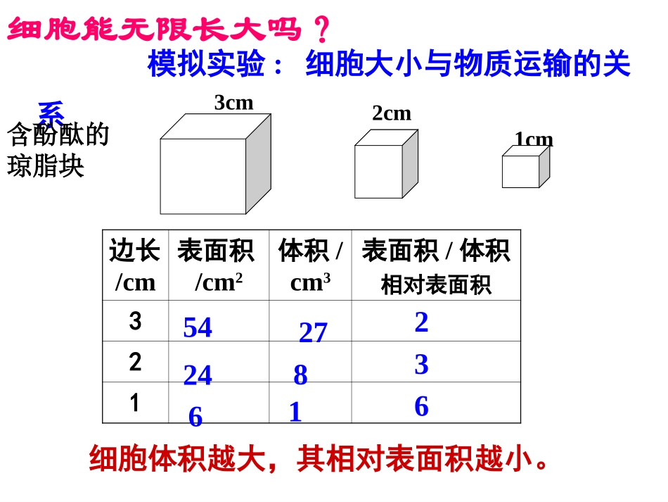 6.1细胞增殖_第3页