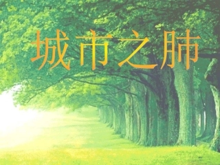 4-城市之肺