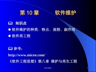10--软件维护