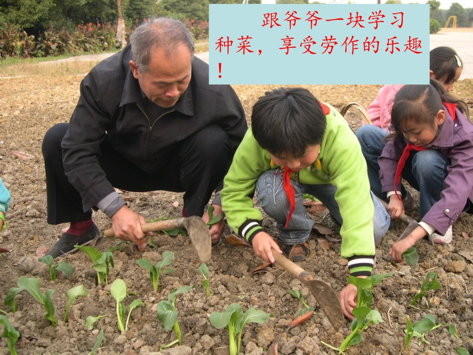 我家开心的事_第2页