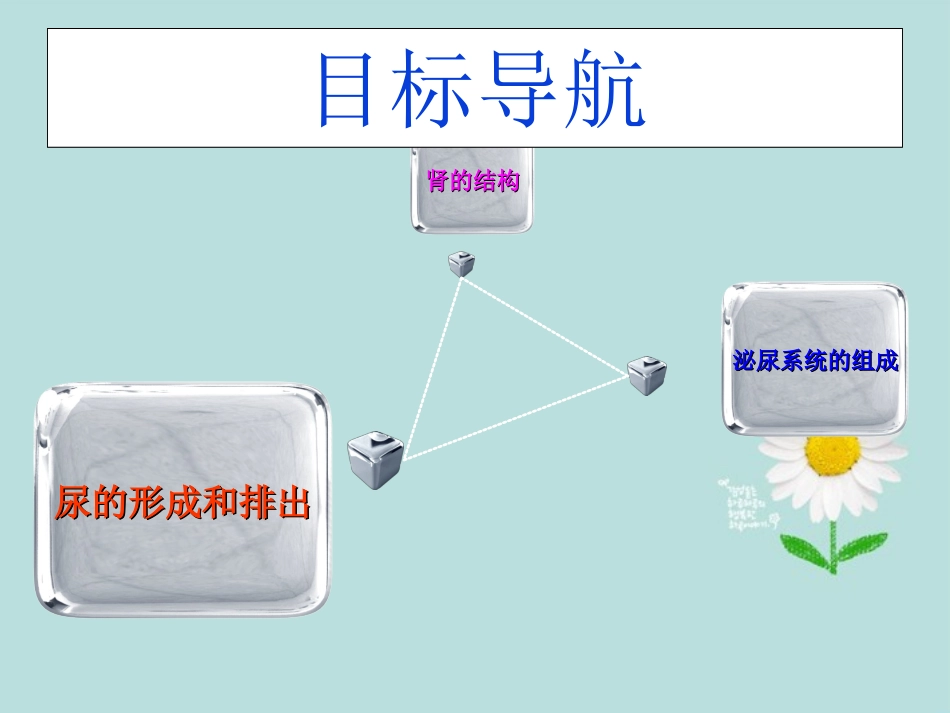 七年级生物下册-第五章-第一节-尿的形成和排出课件-新人教版_第2页