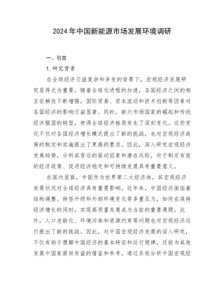 2024年中国新能源市场发展环境调研