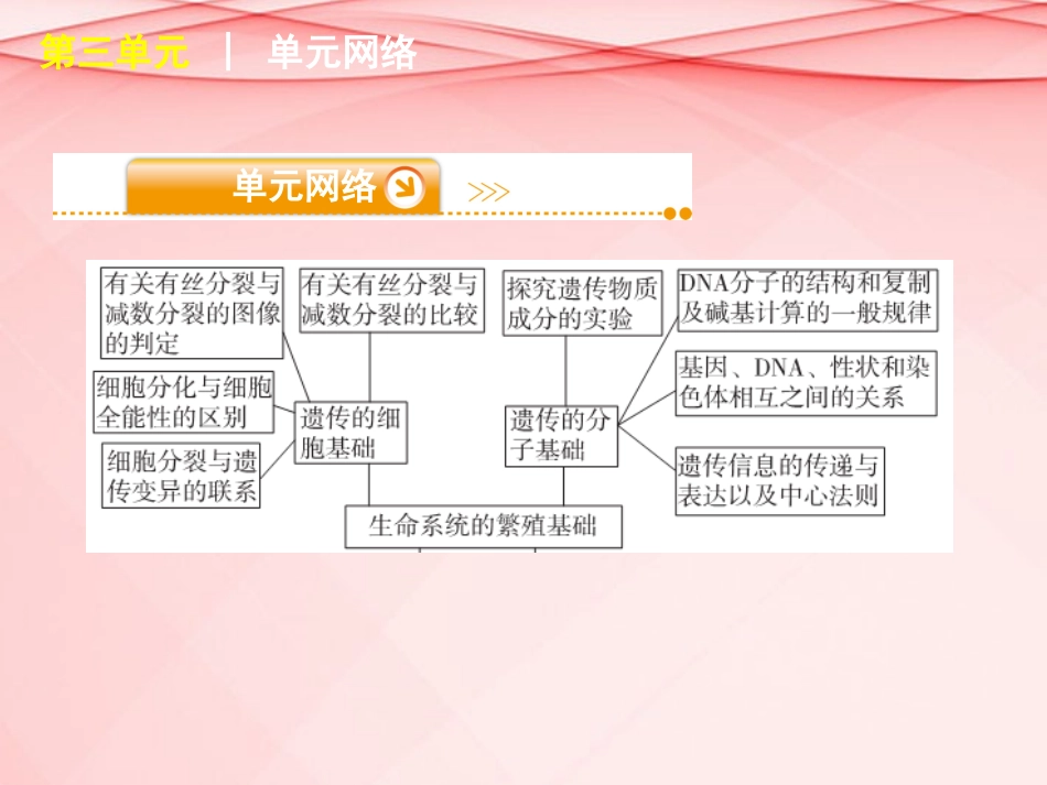 (浙江专用)2013高考生物二轮复习-第3单元-生命系统的繁殖基础课件(解析版)_第3页
