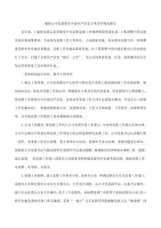 城投公司党委落实全面从严治党主体责任情况报告