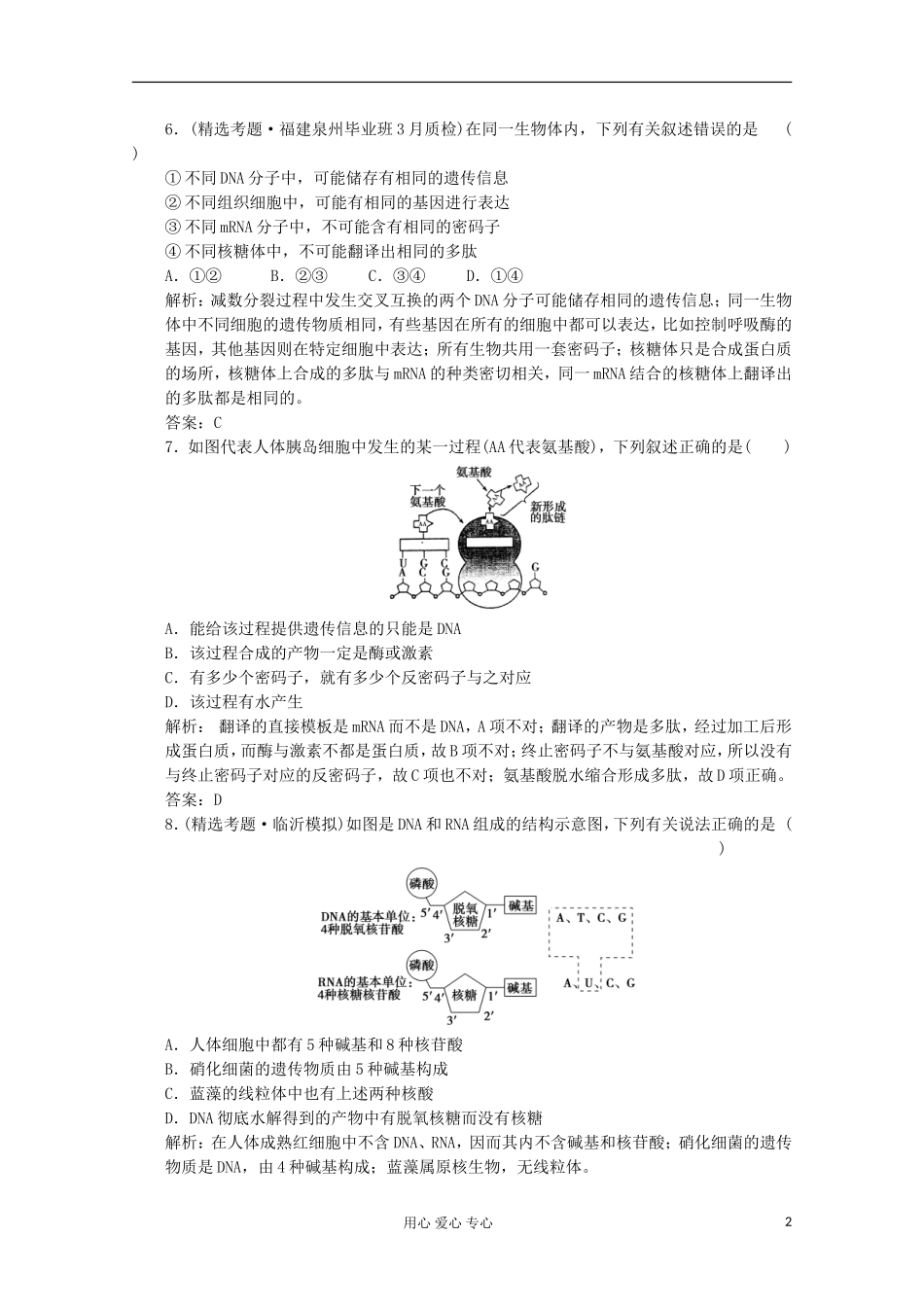 2012届高中生物-4.3《基因控制蛋白质的合成》同步练习-苏教版必修2_第2页