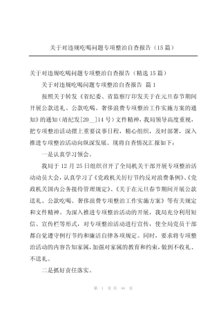 关于对违规吃喝问题专项整治自查报告(15) 