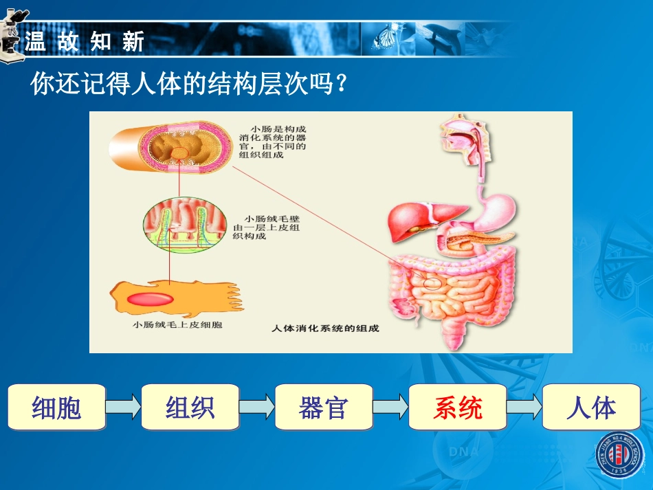 2014-6.15.1.一.血管_第2页