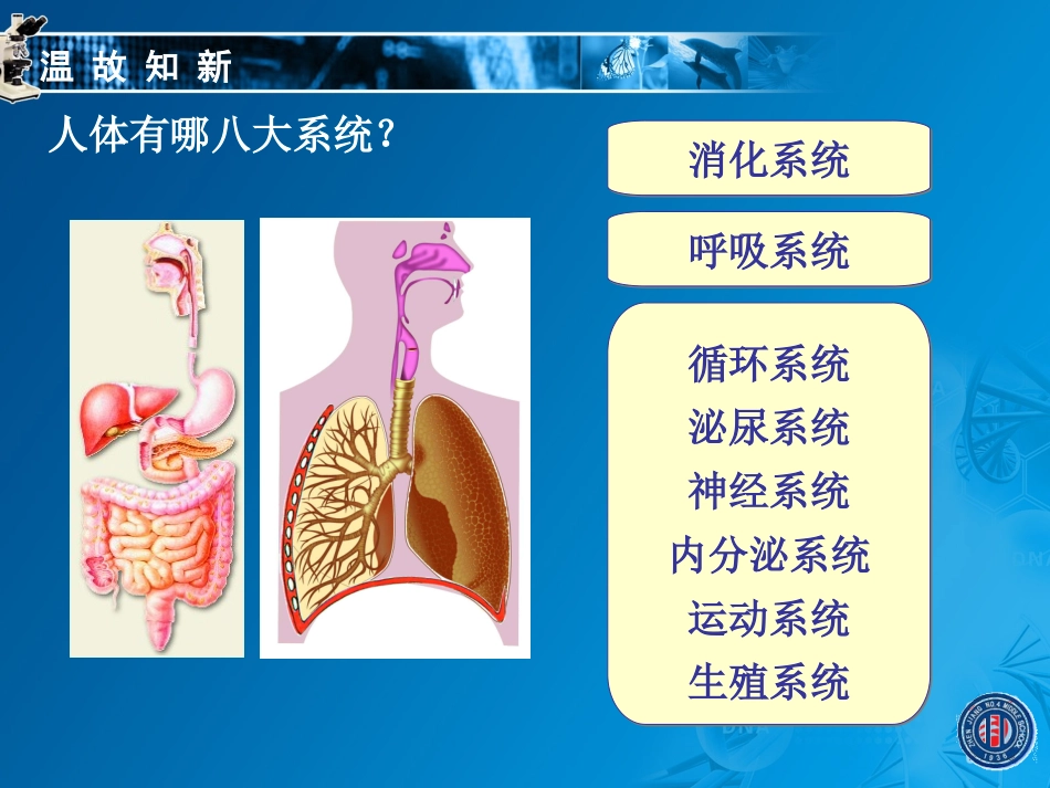 2014-6.15.1.一.血管_第3页