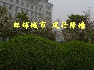 环球城市风行绿墙
