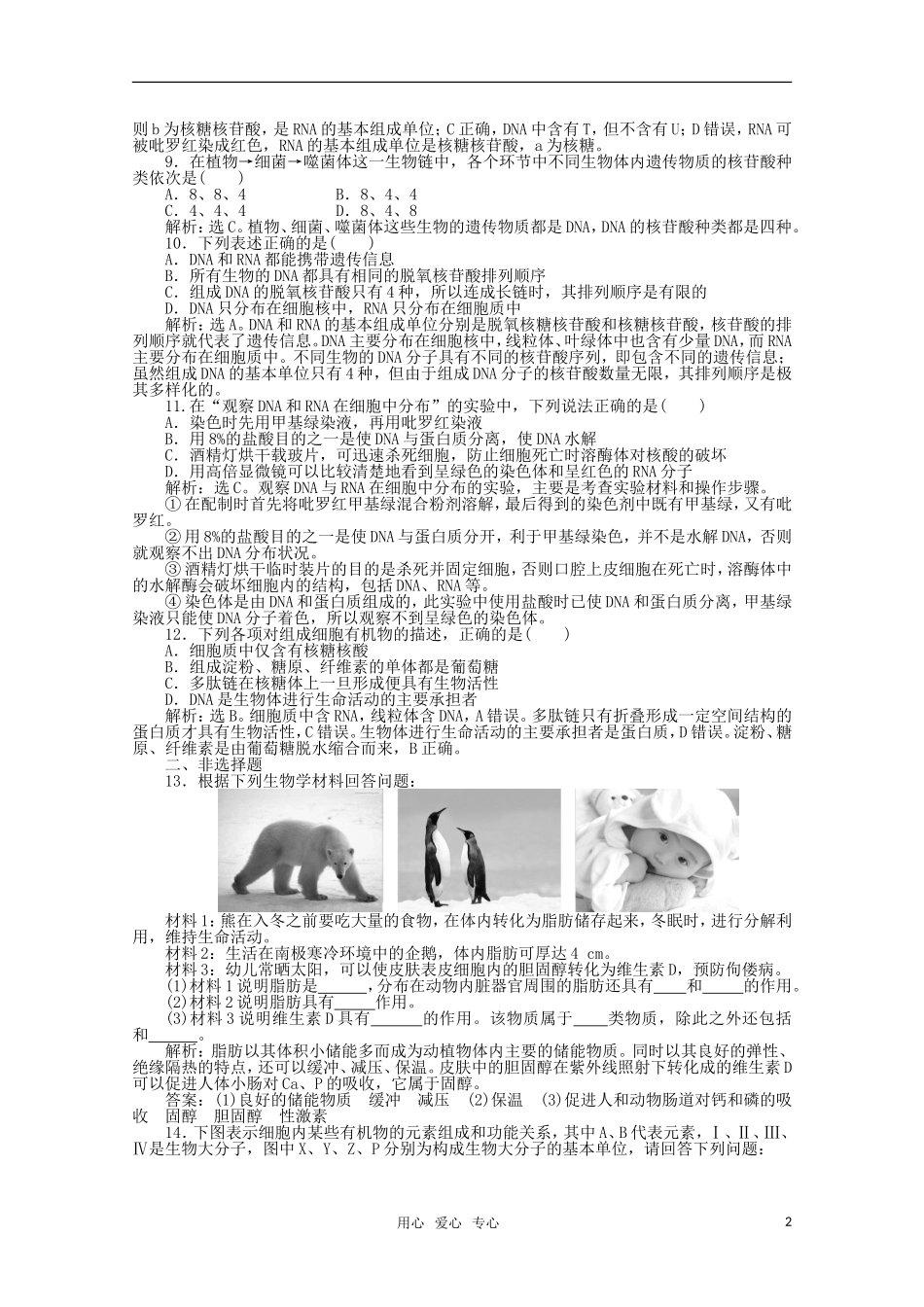 2012届高考生物第一轮-优化复习测试题5_第2页