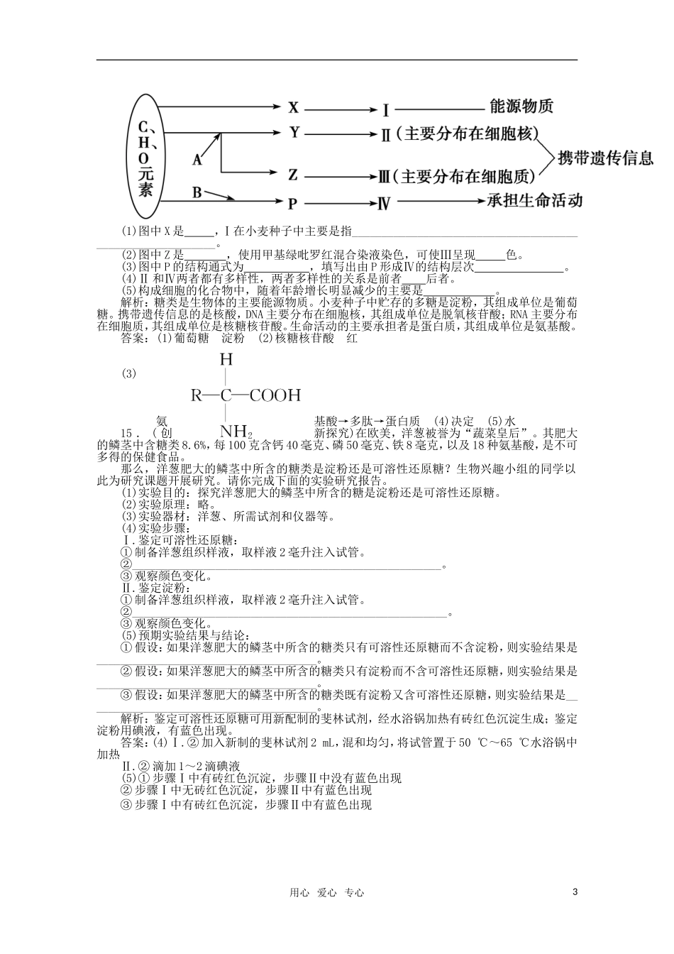 2012届高考生物第一轮-优化复习测试题5_第3页
