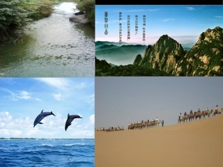 Unit-2-The-nature-world.课件3