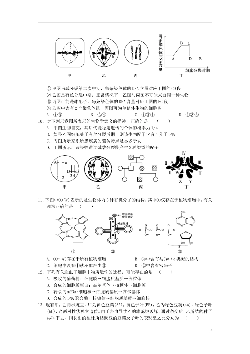 安徽省蚌埠一中2012届高三生物第三次月考试题(无答案)_第2页