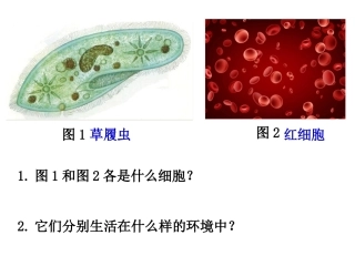 一内环境与稳态