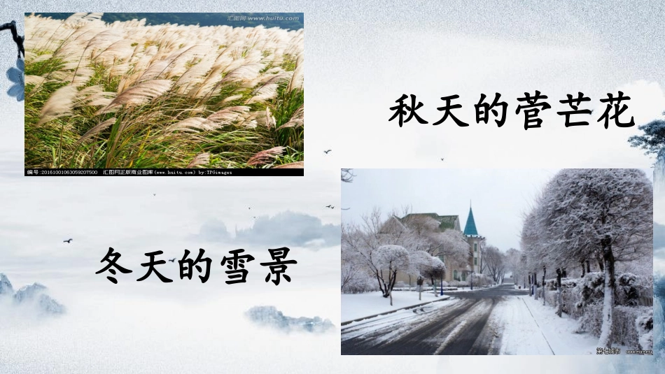 可以预约的雪_第3页