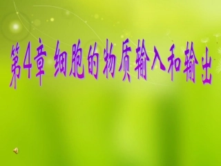 高中生物《第四章-第一节-物质跨膜运输的实例》课件5-新人教版必修1
