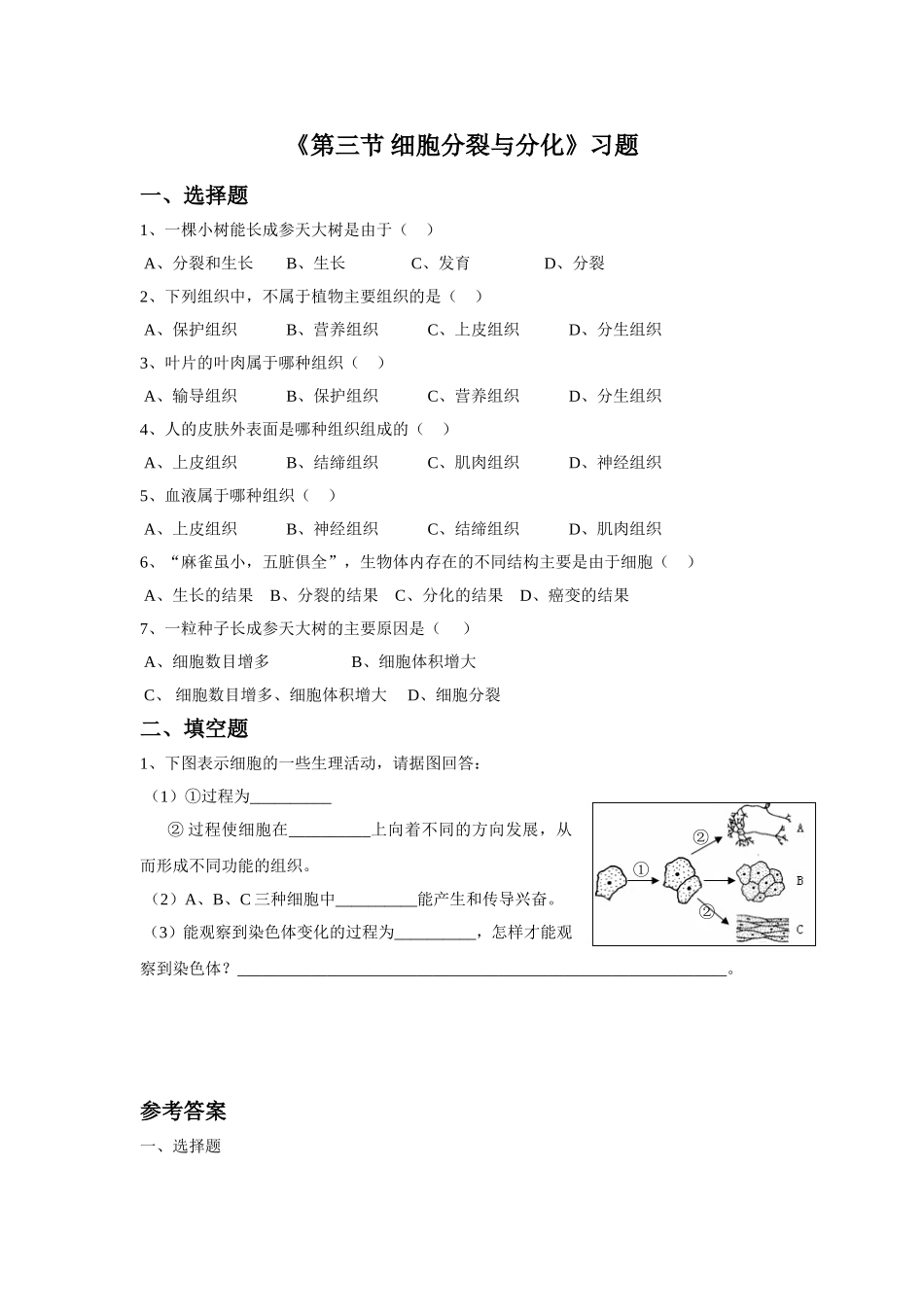 《第三节-细胞分裂与分化》习题_第1页