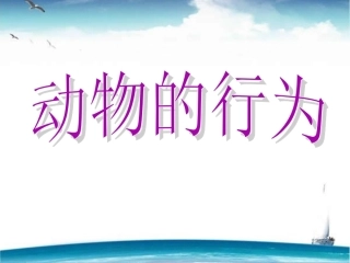 《动物的行为》课件2
