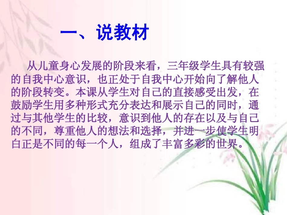 不一样的你我他说课_第1页