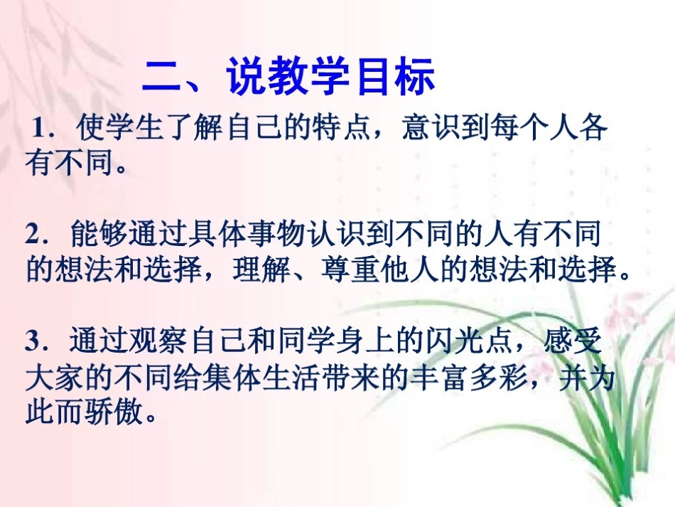 不一样的你我他说课_第2页
