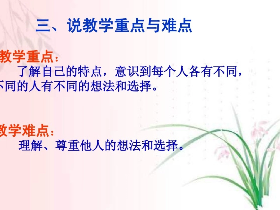 不一样的你我他说课_第3页