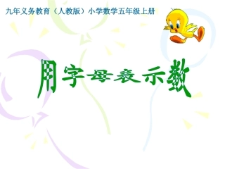 1142用字母表示数
