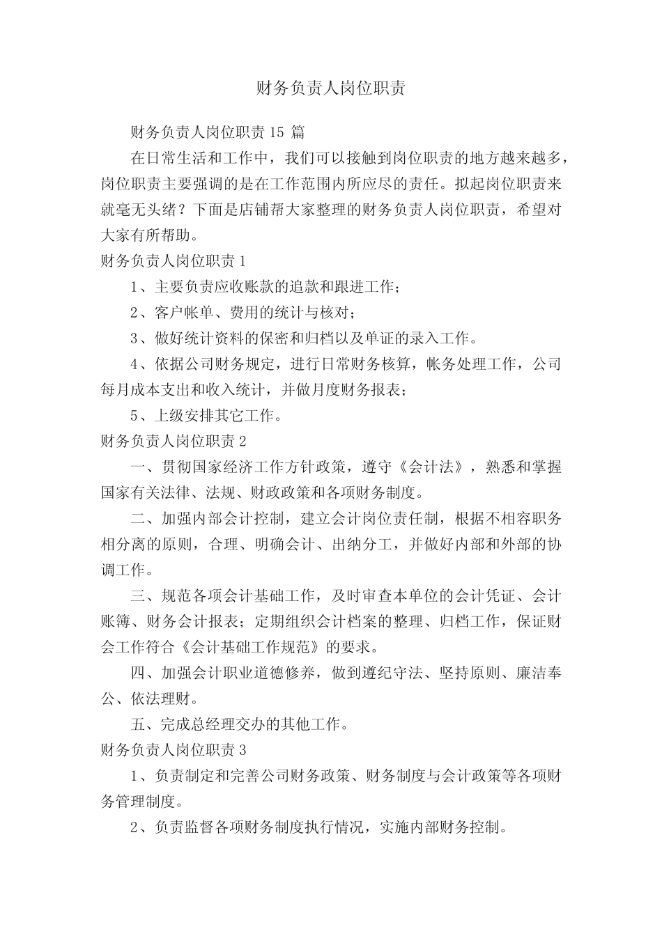 财务负责人岗位职责 _第1页