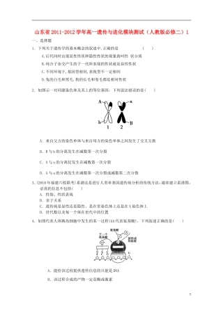 山东省2011-2012学年高中生物遗传与进化模块测试1-新人教版必修2