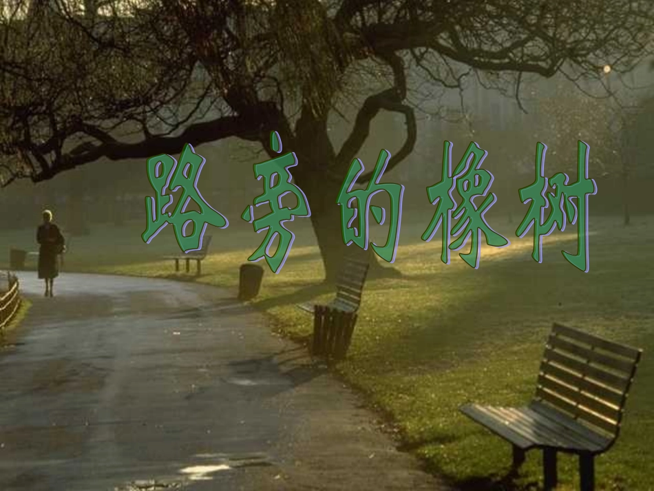 人教版三年级语文下册《路旁的橡树》课件PPT_第1页