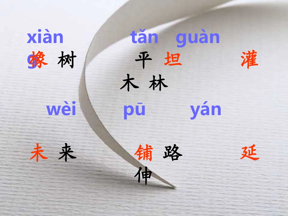 人教版三年级语文下册《路旁的橡树》课件PPT_第3页