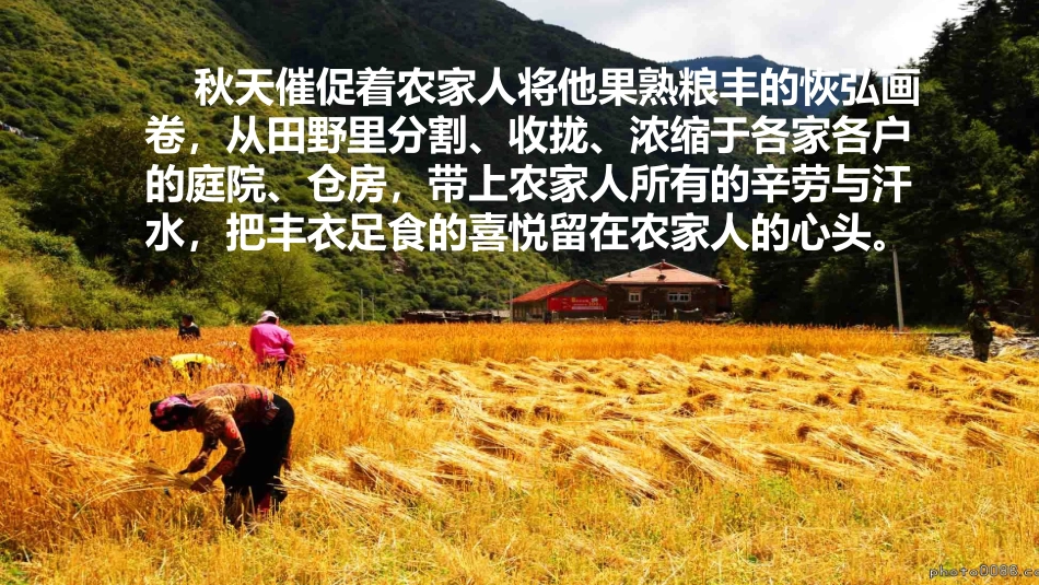 《秋颂》课件_第2页