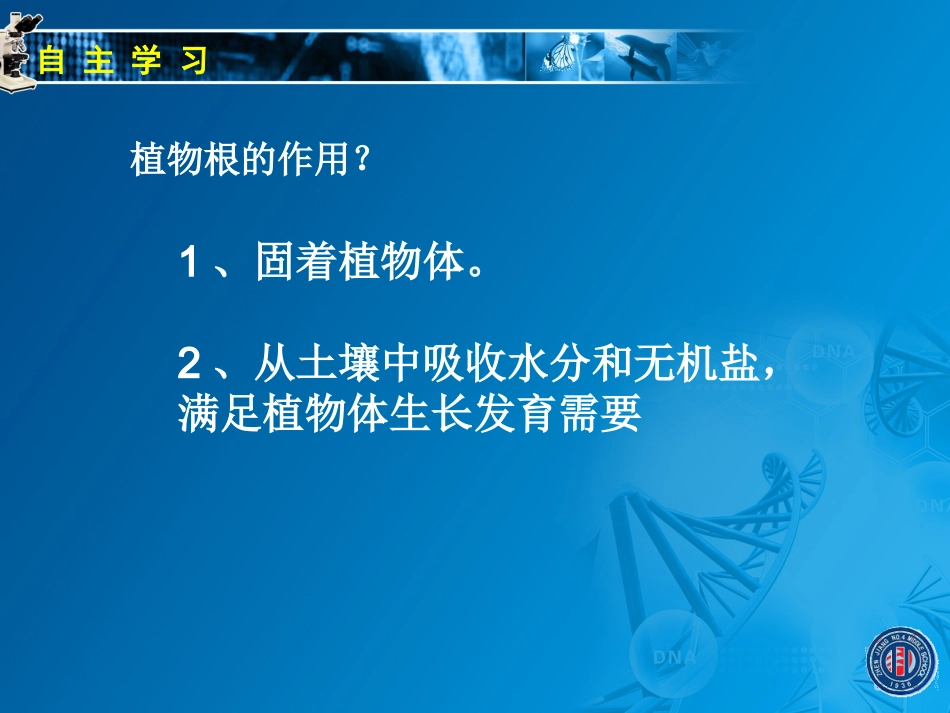 3.4.2绿色植物的生长需要水和无机盐(二)_第3页